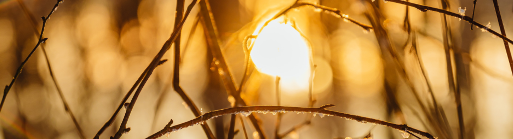 Conseils pour bien vivre l'hiver avec l'Ayurveda.