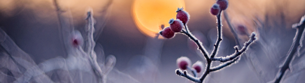 Quand le système nerveux reste en alerte, le corps s’épuise lentement.