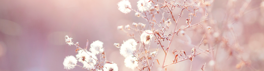 La dépression hivernale n’est pas un manque de volonté, mais une réponse du corps au manque de lumière et au ralentissement saisonnier.