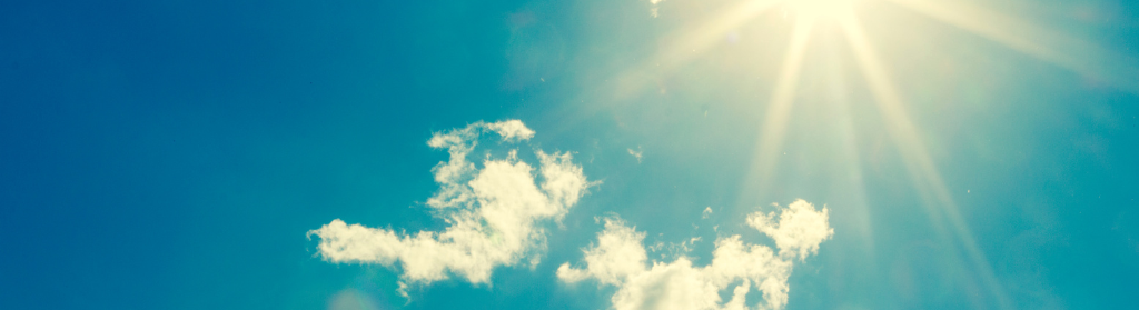 Neurosciences et Réflexologie Plantaire Ayurvedique