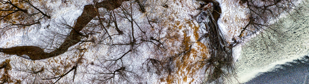 Réflexologie Plantaire Ayurvedique et neurosciences