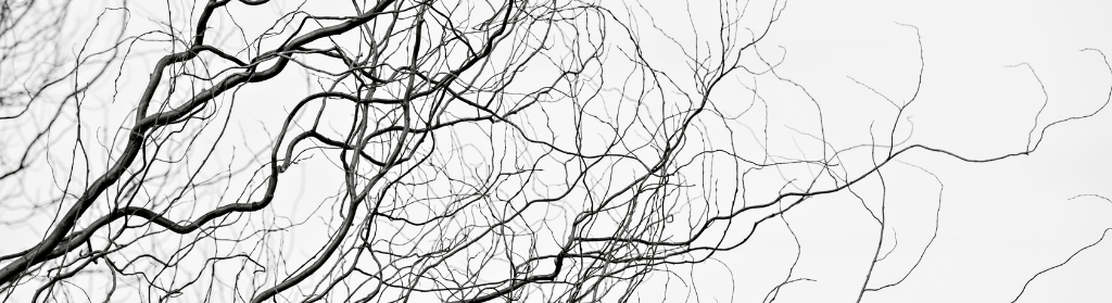 Réflexologie Plantaire Ayurvedique et neurosciences