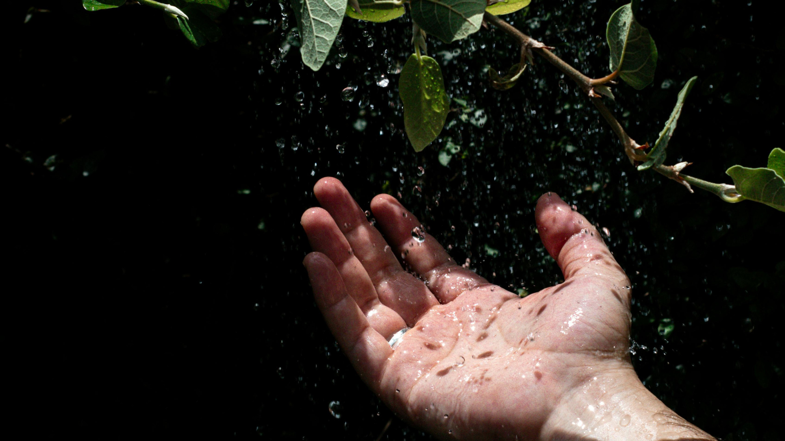 Pourquoi j’utilise les bains dérivatifs dans ma pratique de naturopathe